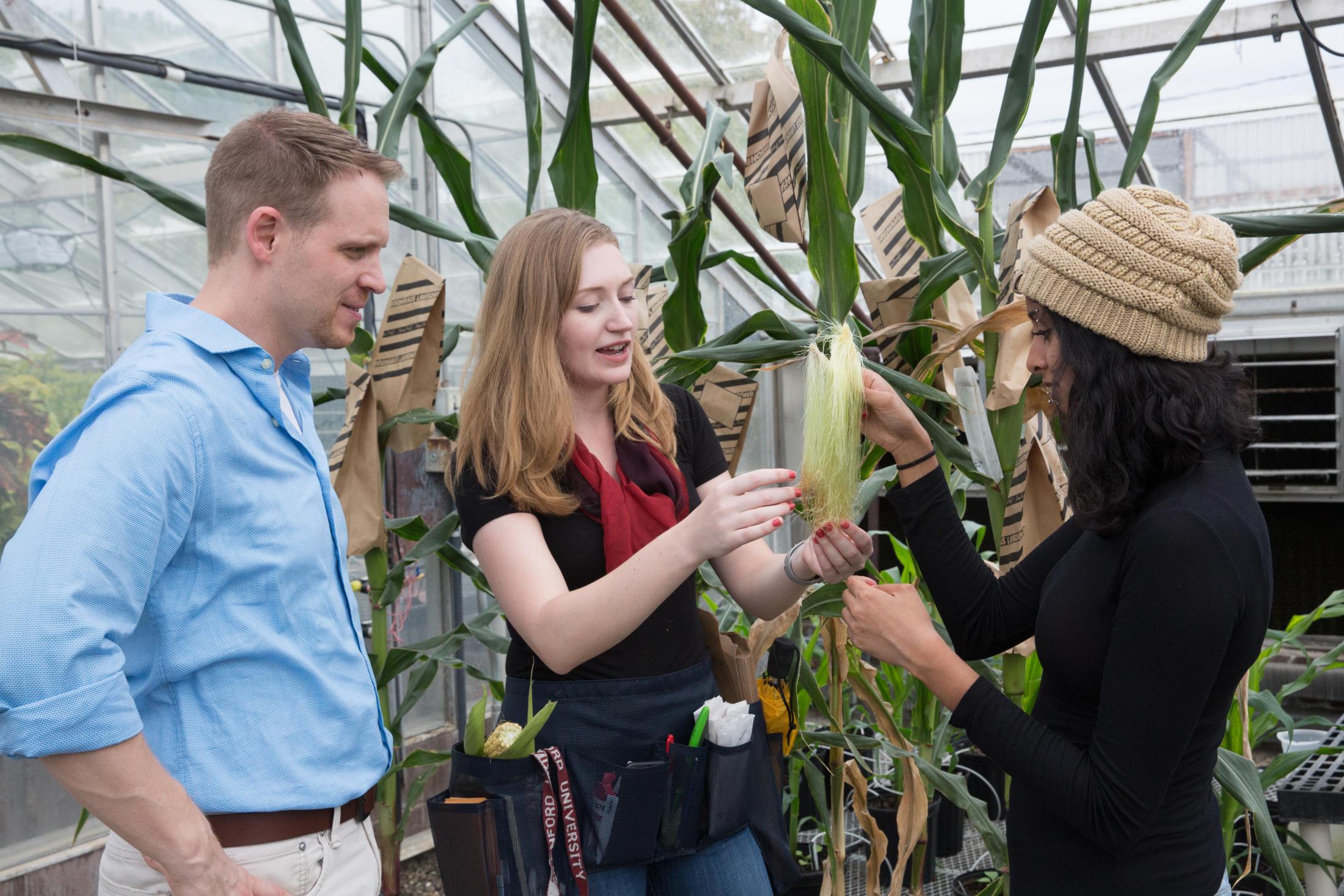 Professor Zerbe stands with lab members Katie Murphy and Prema Karunanithi. Not pictured is lab member Kyle Perot, who did much of the Zerbe Lab's previous work on switchgrass. Photo: David Slipher
