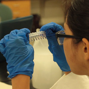 Image of student observing samples in small vials.