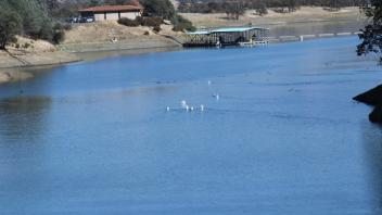 Ecology for Anglers