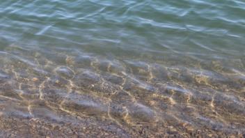 Ecology for Anglers