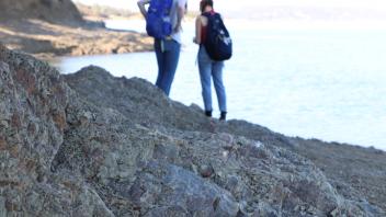 Ecology for Anglers