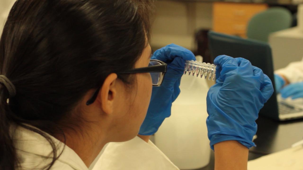 Making a Mutant - woman looking at vials