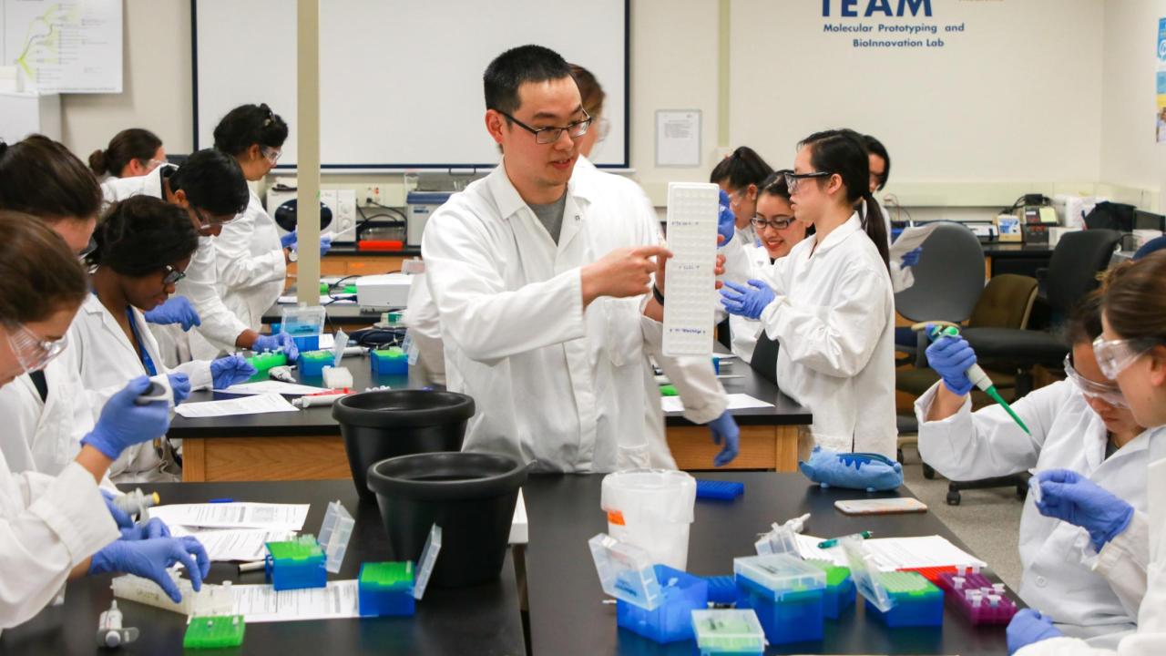 Multiple students sitting in a laboratory classroom with some students watching another student point at a lab tool.