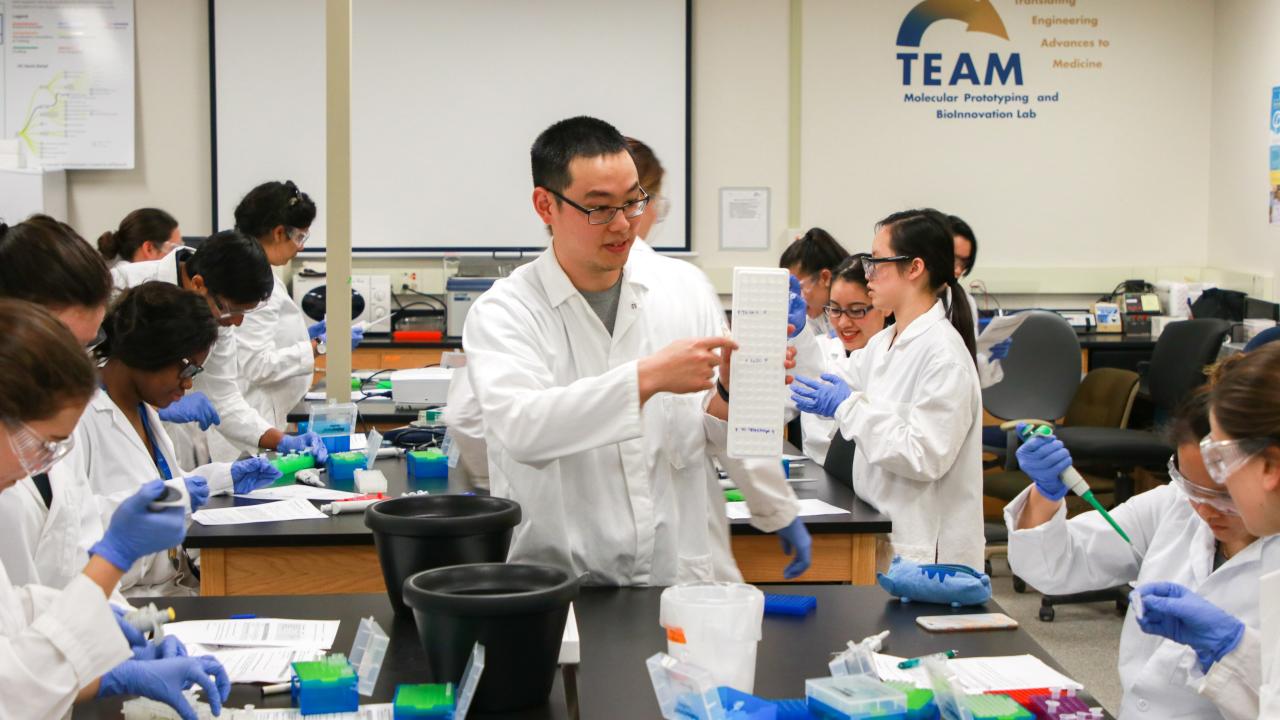 Multiple students sitting in a laboratory classroom with some students watching another student point at a lab tool.