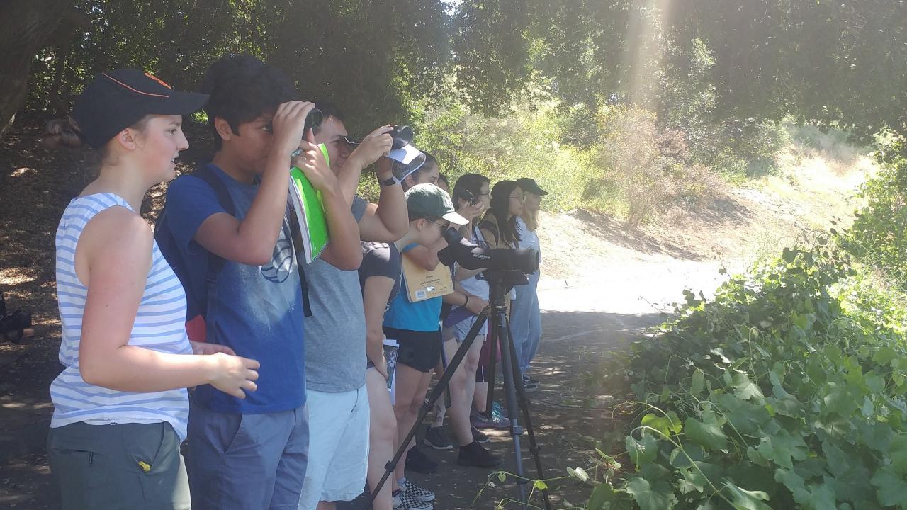 Students in Wild Davis course