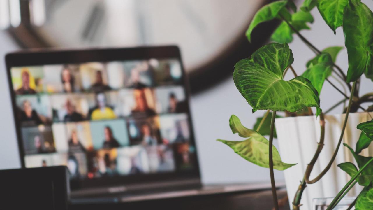 Videoconferencing call