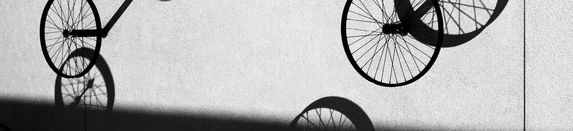Tercero Dorms Bicycle Wheels