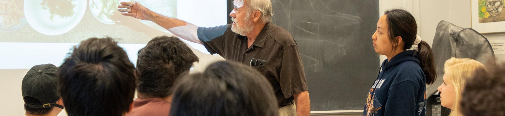 Instructor pointing at projected slides in a classroom of students